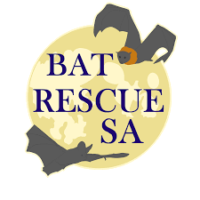 Bat Rescue SA