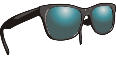 A pair of Sunglasses for "The Shades" Tour