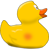 What Duck?